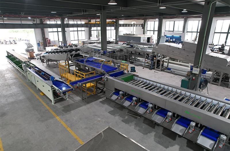 images/16866454577682vegetable cleaning sorting equipmen]t.jpg